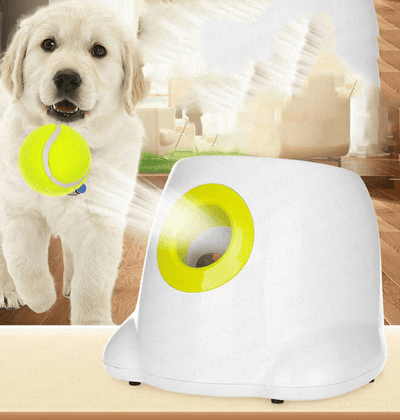 Automatic Ball Launcher for Dogs