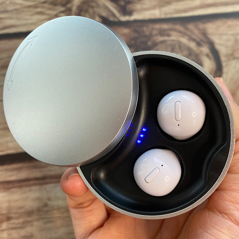 Wireless Bluetooth Earbuds Headset with Charging Case