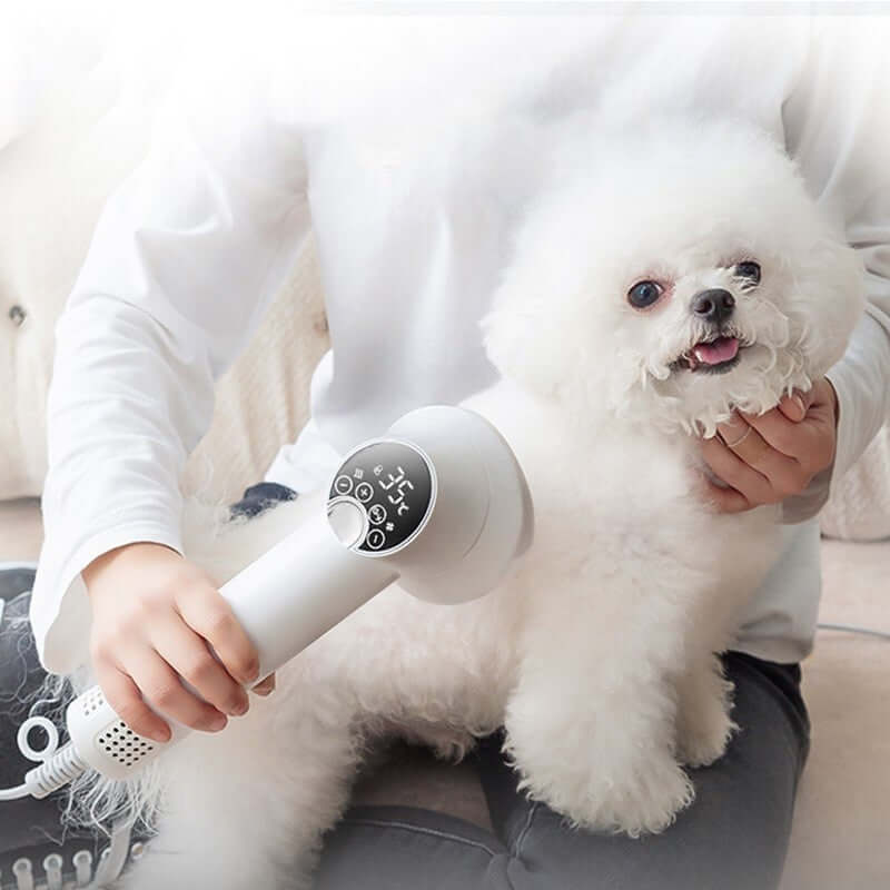 Smart Pet Hair Dryer for Dogs and Cats with Blow and Comb Function