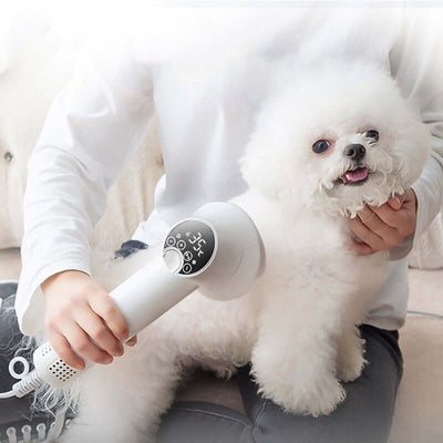 Smart Pet Hair Dryer for Dogs and Cats with Blow and Comb Function