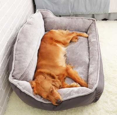 Golden retriever peacefully sleeping in a cozy portable dog bed, showcasing comfort and support for pets.