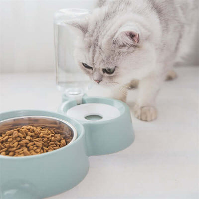 Durable Dog Bowl for Food and Water