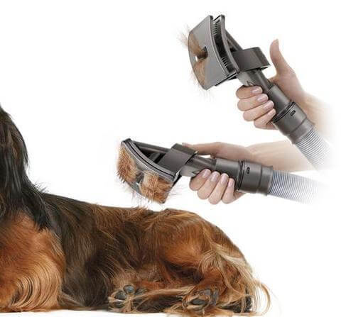 Pet grooming brush attachment vacuum removing loose dog hair for clean and mess-free grooming.