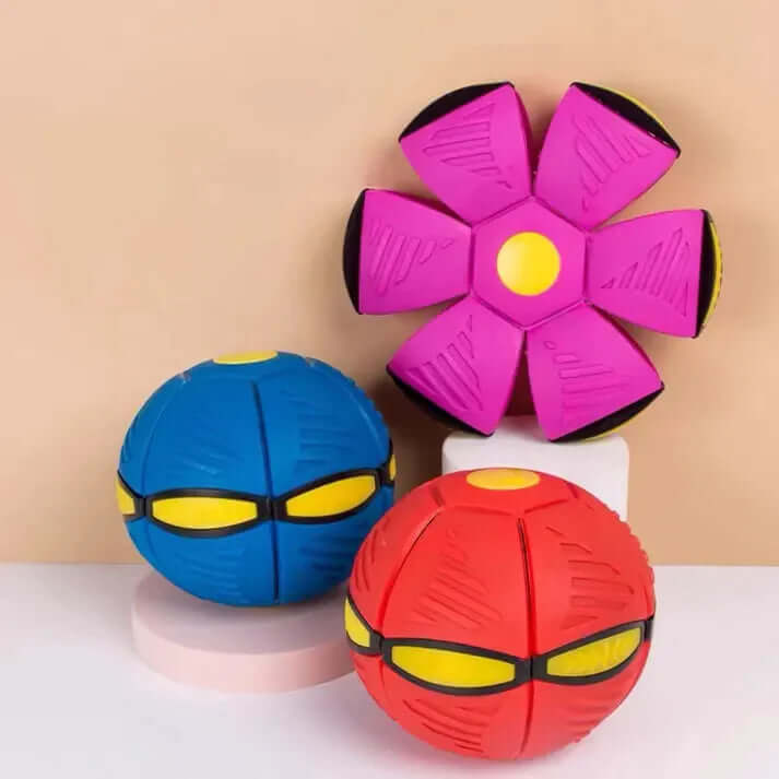Colorful dog frisbee toys in blue, red, and pink, designed for fun and durability during playtime with dogs.