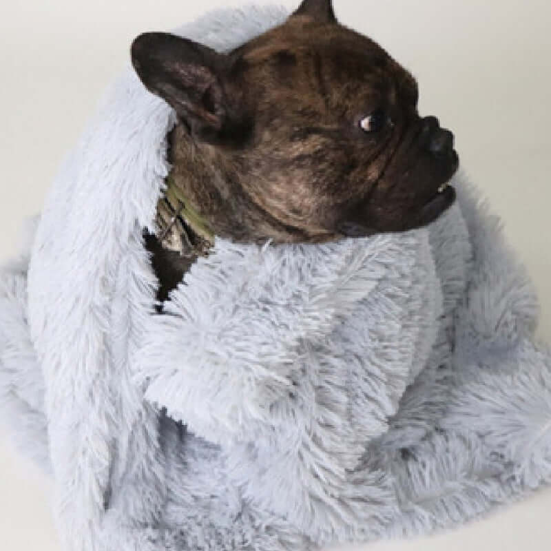 Soft Pet Blanket for Dogs and Cats