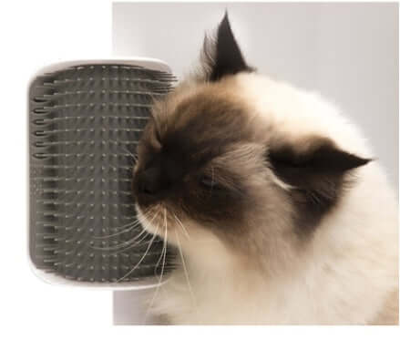Cat Self-Grooming Brush Wall-Mounted Pet Rubbing Device