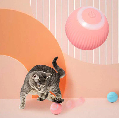 Interactive Ball Toy for Pets
