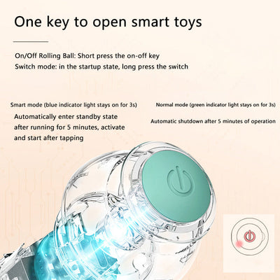 Interactive Ball Toy for Pets
