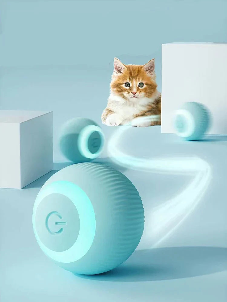 Interactive Ball Toy for Pets