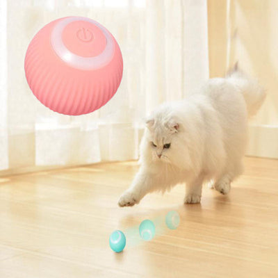 Interactive Ball Toy for Pets