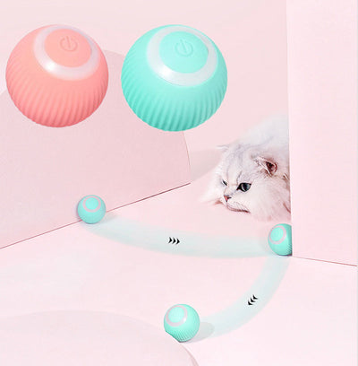 Interactive Ball Toy for Pets