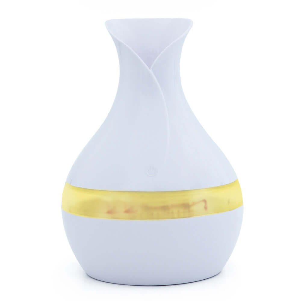 Vase Humidifier Mini Air Humidifier and Aroma Diffuser