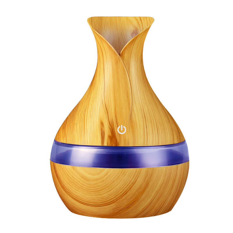 Vase Humidifier Mini Air Humidifier and Aroma Diffuser