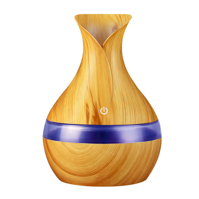 Vase Humidifier Mini Air Humidifier and Aroma Diffuser