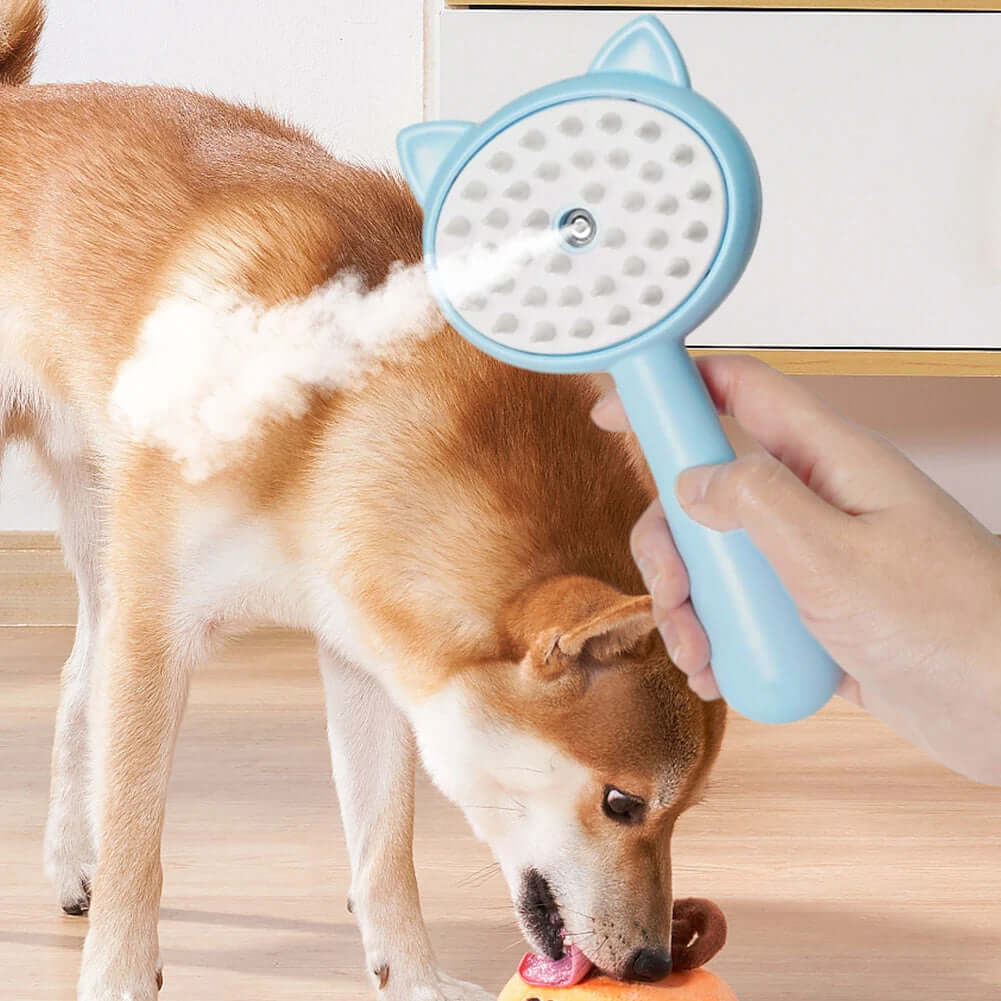 Hair Cleaning Brush With Mist Multifunctional Cat Grooming Brush Rechargeable Self Cleaning Slicker Brush