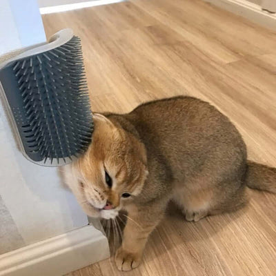 Cat Self-Grooming Brush Wall-Mounted Pet Rubbing Device